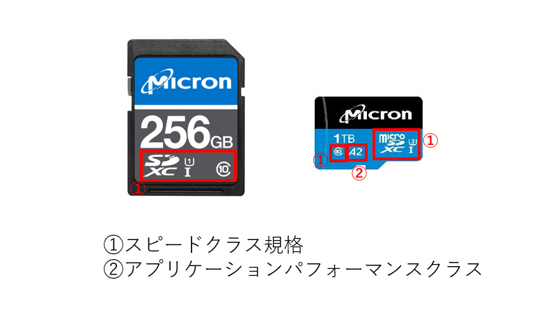 図1 SDカードとmicroSD
